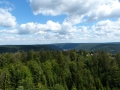MK-Calmbach25