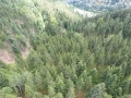 MK-Calmbach30