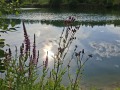 MK_Camping-WE_05