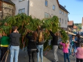 MK-Maibaum (11)