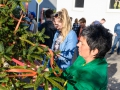 MK-Maibaum (14)
