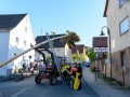 MK-Maibaum (18)