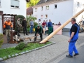 MK-Maibaum (19)