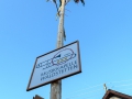 MK-Maibaum (23)