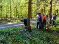 MK-Maibaum (3)