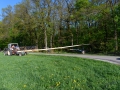 MK-Maibaum (8)