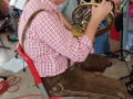 MK-Oktoberfestprobe14