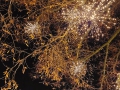 MK-Weihnachtsmarkt-MOS_001