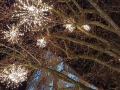 MK-Weihnachtsmarkt-MOS_003