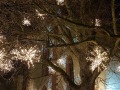 MK_Weihnachtsmarkt-2024_07