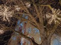 MK_Weihnachtsmarkt-2024_14